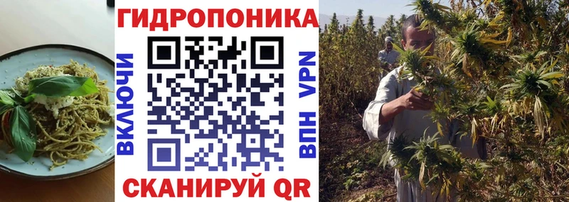 Cannafood конопля  Можайск 