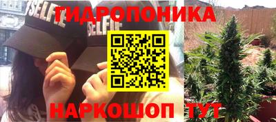 PSILOCYBIN Кимры